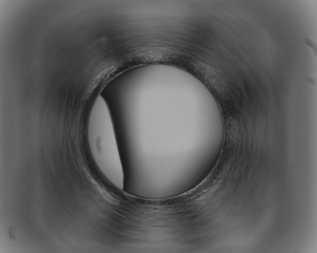 X0000092030590200709061352