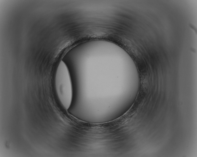 X0000092030591200709061352