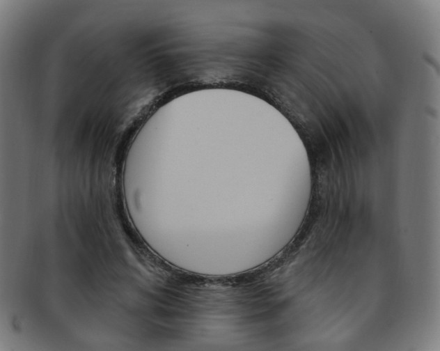 X0000092030592200709061352