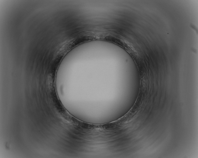 X0000092030594200709061352