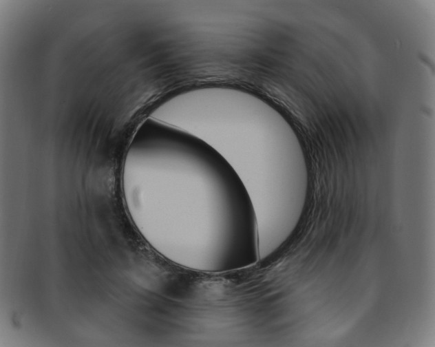 X0000092030595200709061352