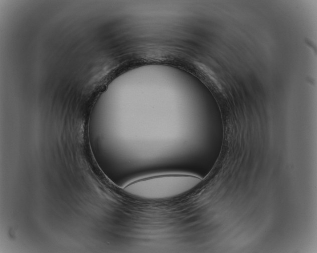 X0000092030596200709061352
