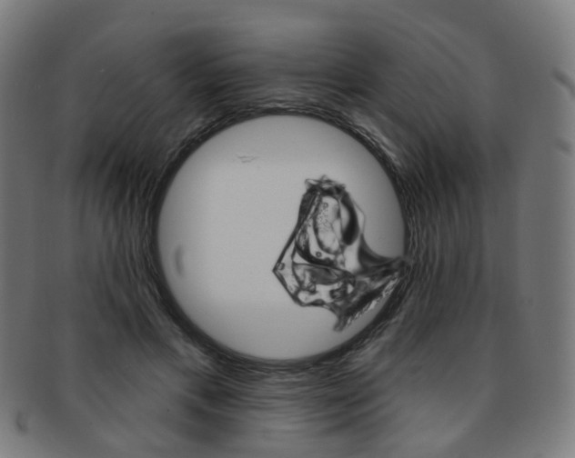 X0000092030597200709061352