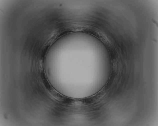 X0000092030598200709061352