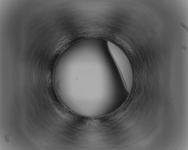 X0000092030599200709061352