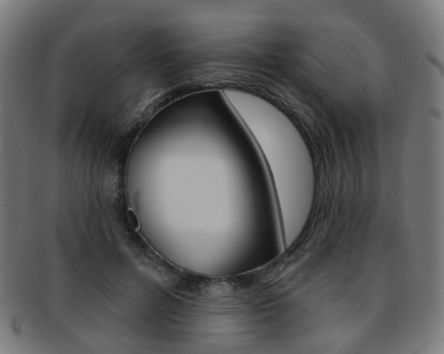 X0000092030600200709061352