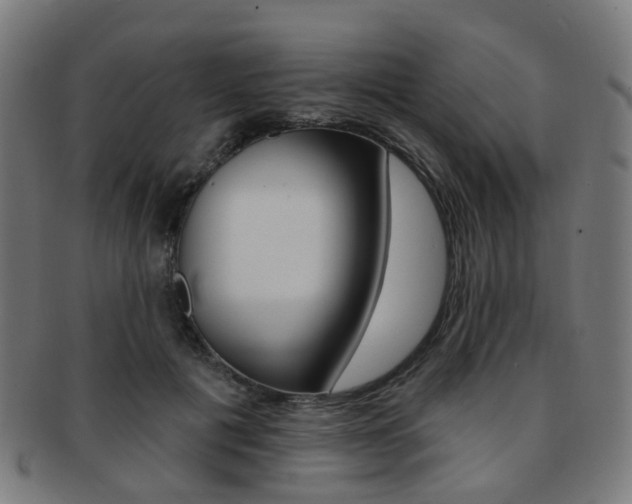 X0000092030601200709061352