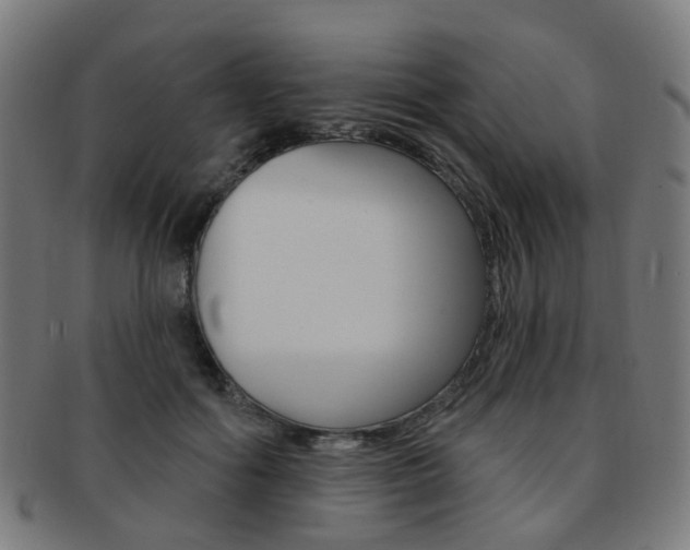 X0000092030602200709061352
