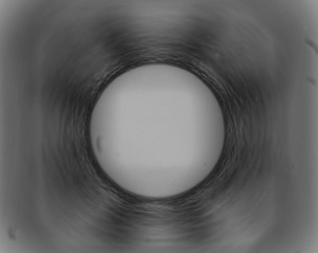 X0000092030604200709061352