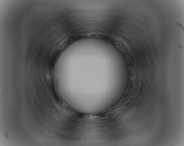 X0000092030607200709061352
