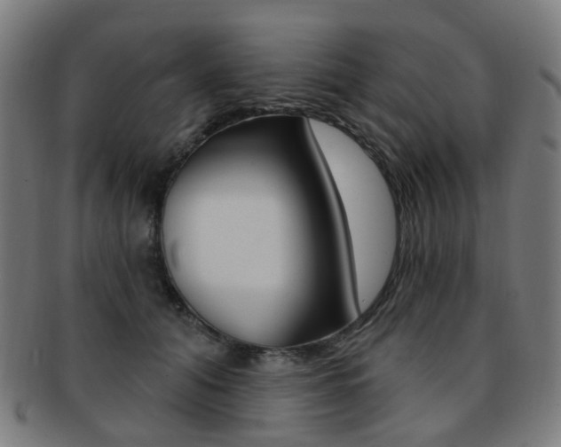 X0000092030608200709061352