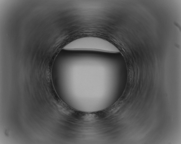 X0000092030609200709061352