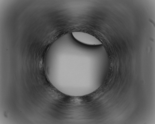 X0000092030610200709061352