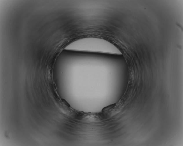 X0000092030611200709061352