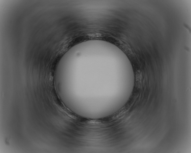 X0000092030614200709061352