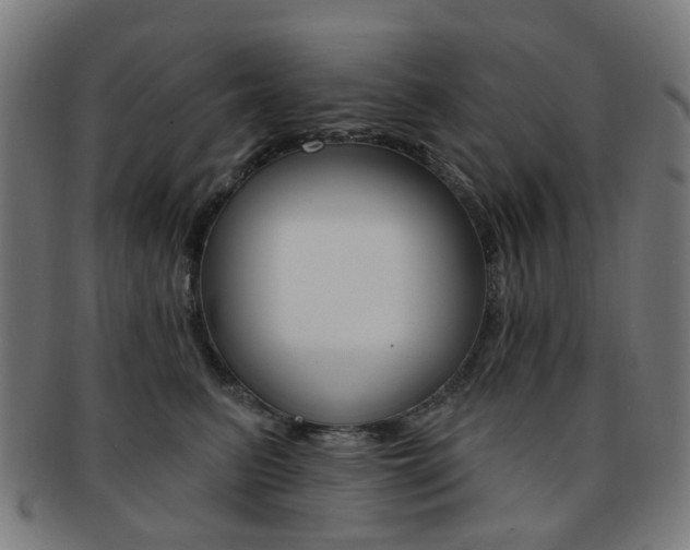 X0000092030615200709061352