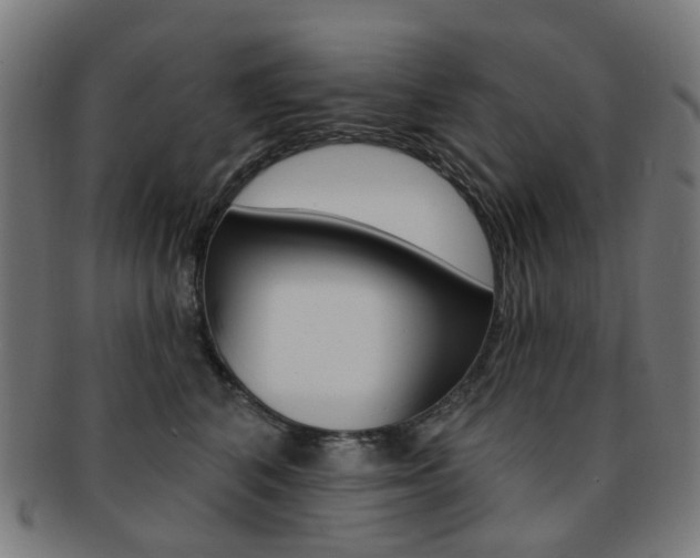 X0000092030616200709061352