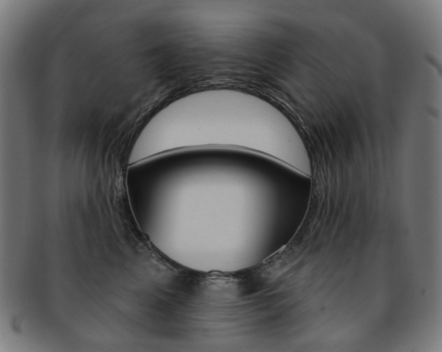 X0000092030617200709061352