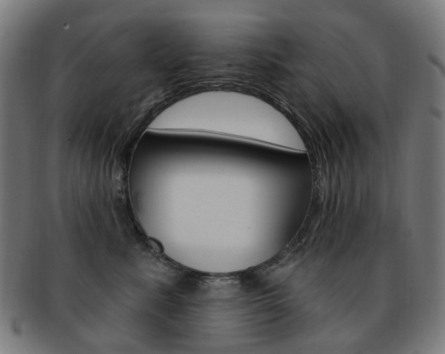 X0000092030619200709061352