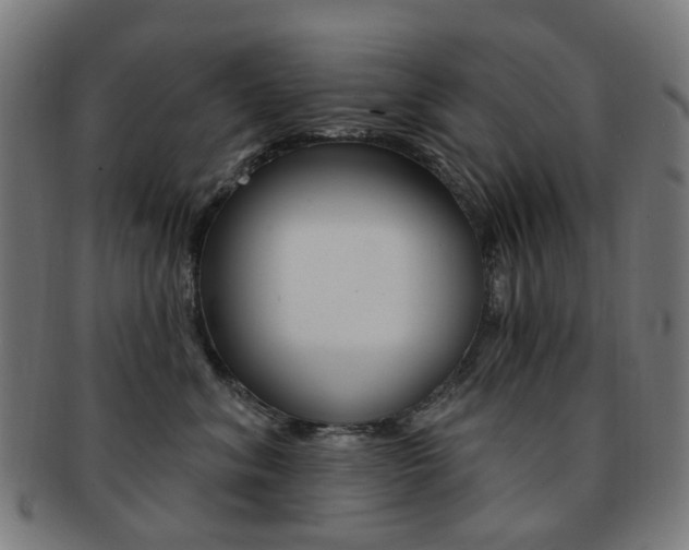 X0000092030620200709061352