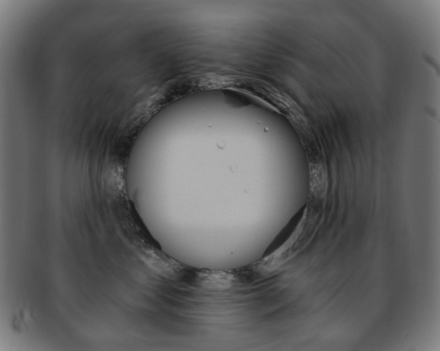 X0000092030621200709061352