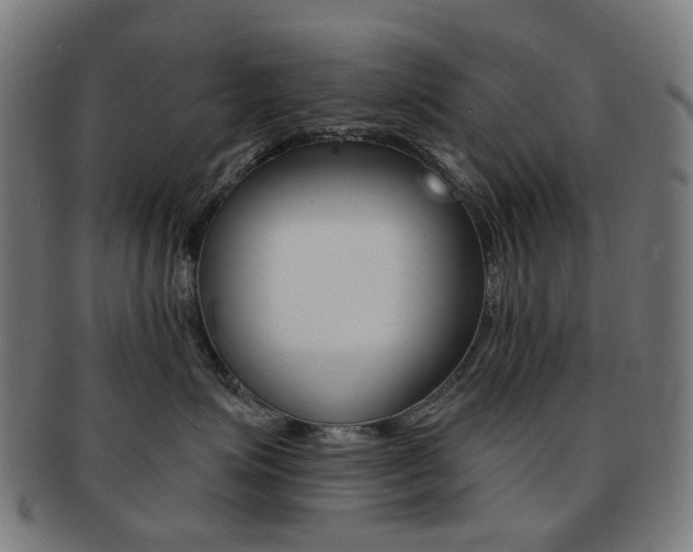 X0000092030623200709061352