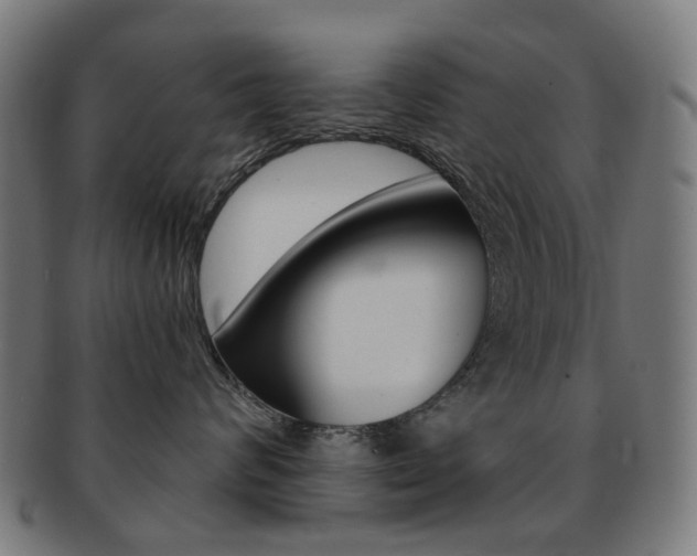 X0000092030624200709061352