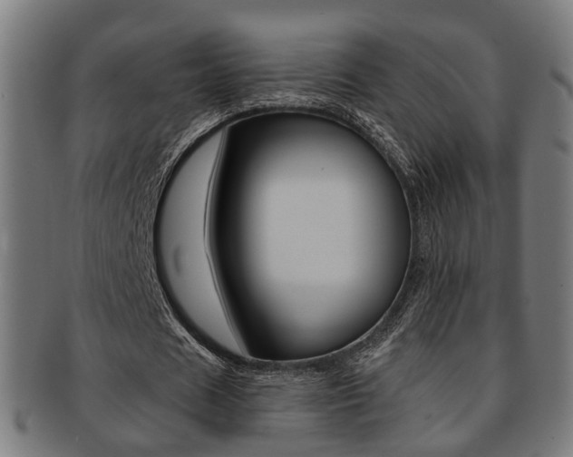 X0000092030625200709061351