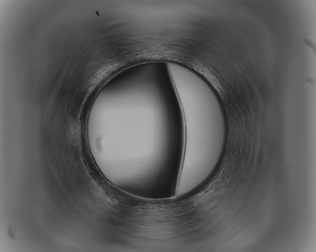 X0000092030626200709061351