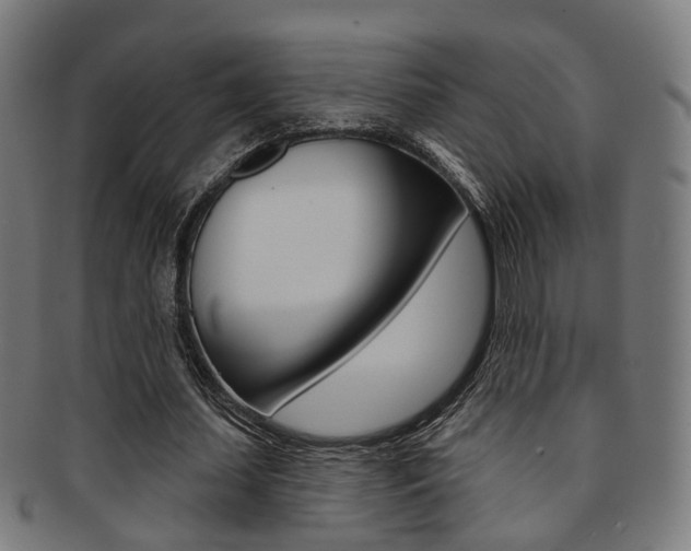 X0000092030627200709061351