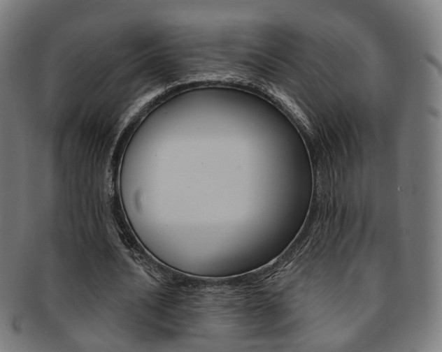 X0000092030628200709061351