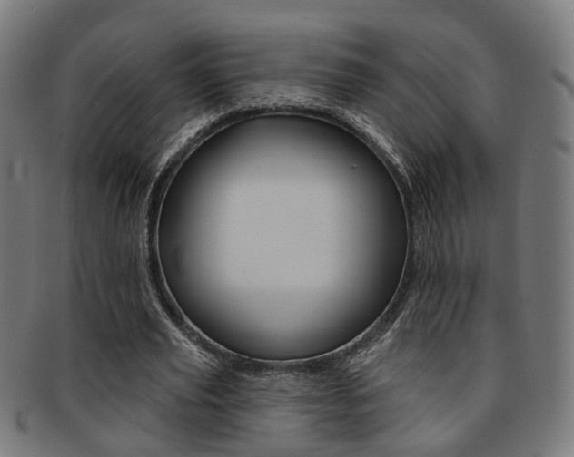 X0000092030629200709061351