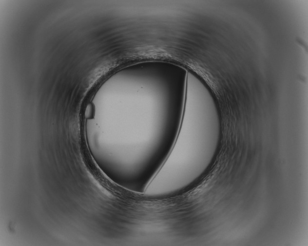 X0000092030630200709061351