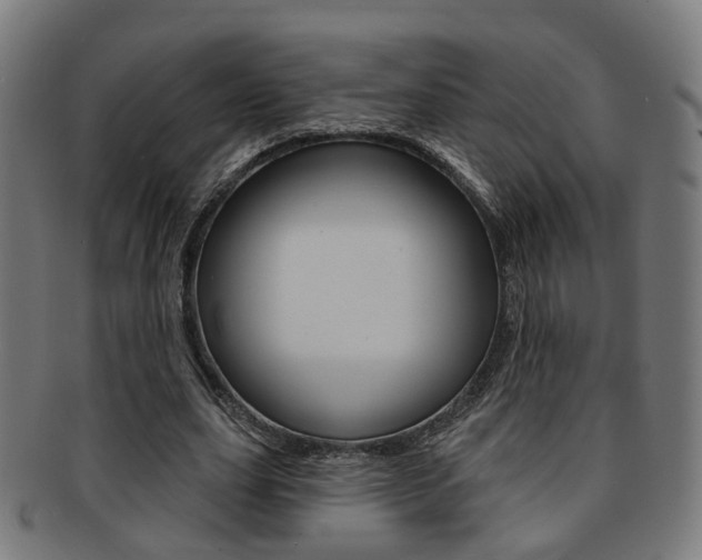 X0000092030631200709061351