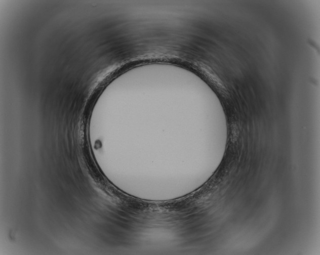 X0000092030632200709061351