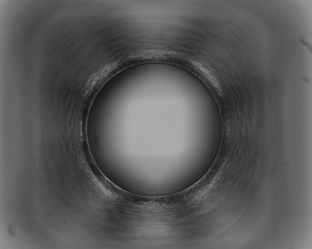 X0000092030633200709061351
