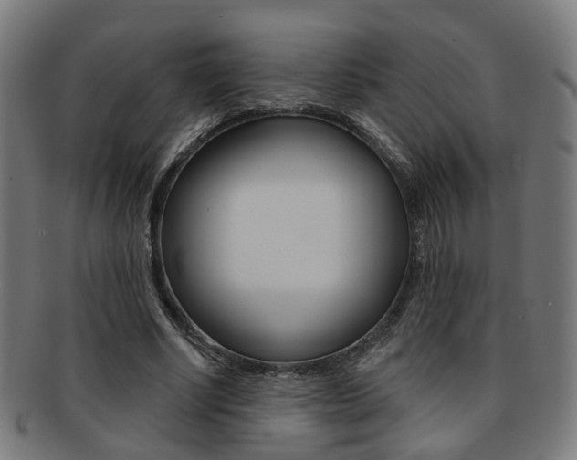 X0000092030634200709061351
