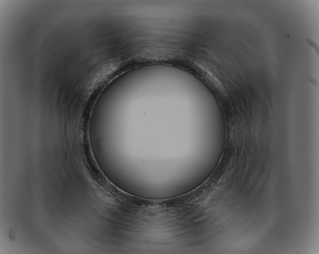 X0000092030635200709061351