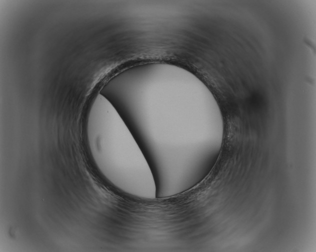 X0000092030636200709061351