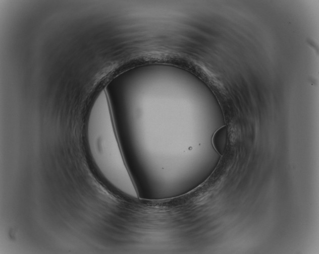 X0000092030637200709061351