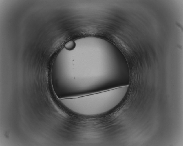 X0000092030638200709061351