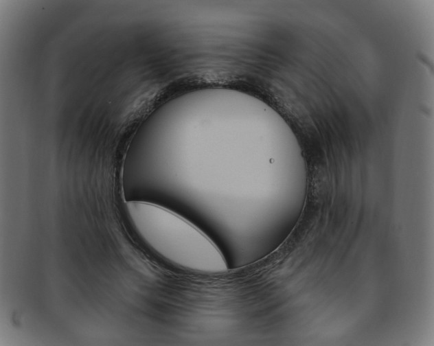 X0000092030639200709061351