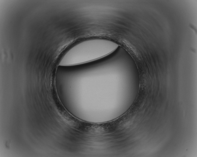 X0000092030640200709061351