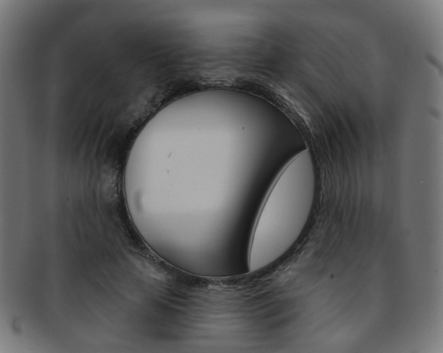 X0000092030641200709061351