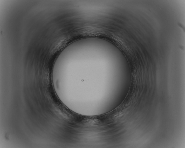 X0000092030642200709061351