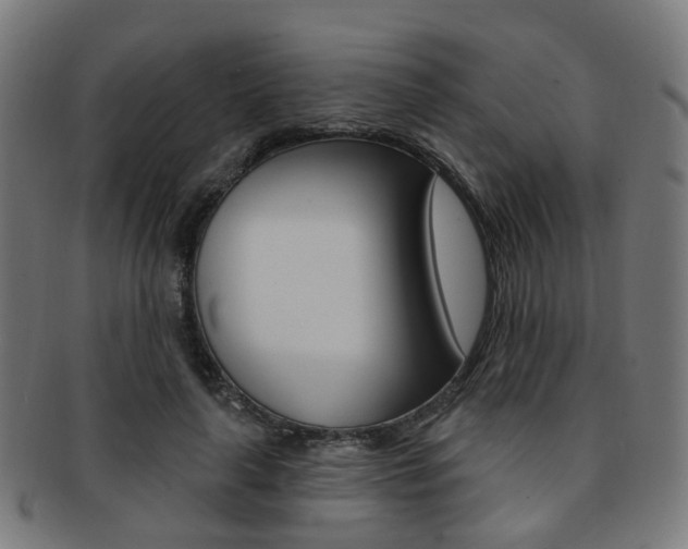 X0000092030643200709061351