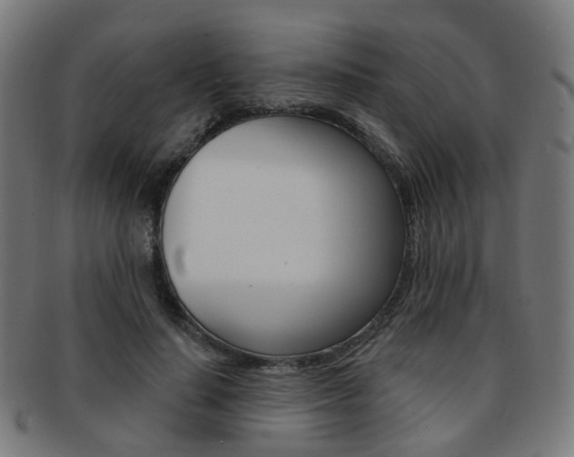 X0000092030644200709061351