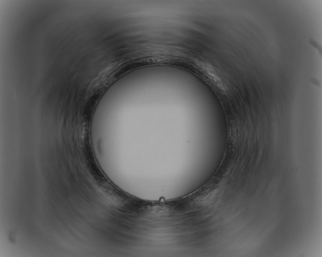 X0000092030645200709061351