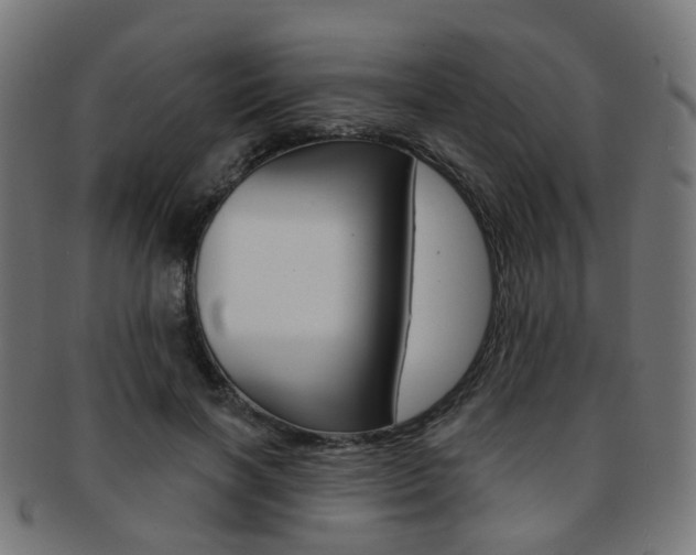 X0000092030646200709061351