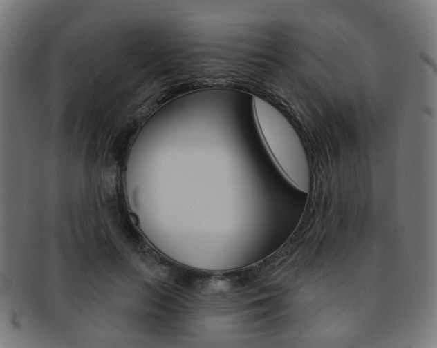 X0000092030647200709061351